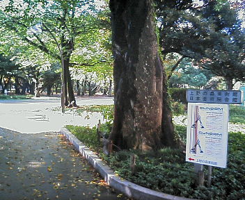 d0013816_14582257.jpg
