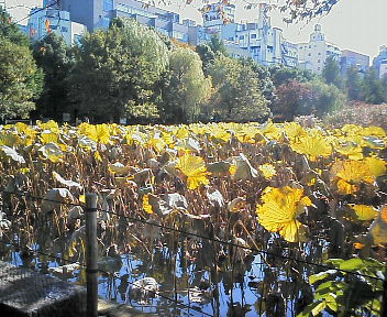 d0013816_1532316.jpg