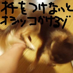 c0036617_8241086.jpg