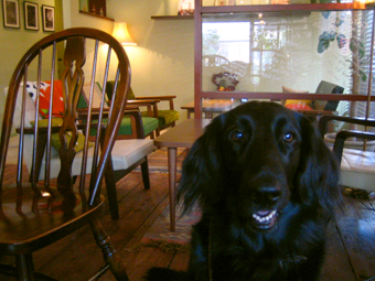 c0012120_2243172.jpg
