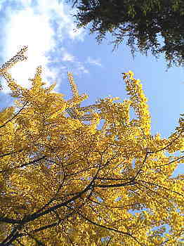 a0021421_0144044.jpg