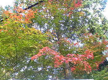 a0021421_015992.jpg