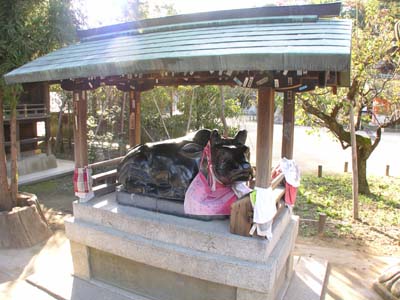 c0059521_14295975.jpg