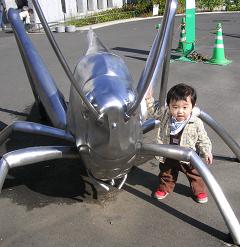 d0006126_084826.jpg