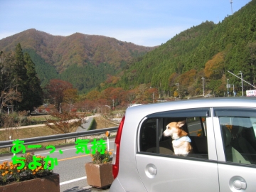 e0077528_17435355.jpg