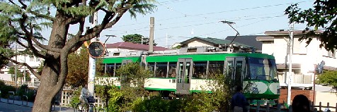a0048531_23354218.jpg