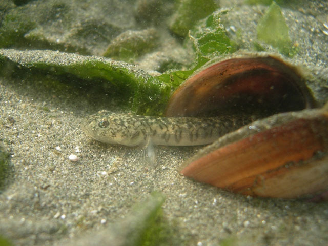 d0041331_17484347.jpg