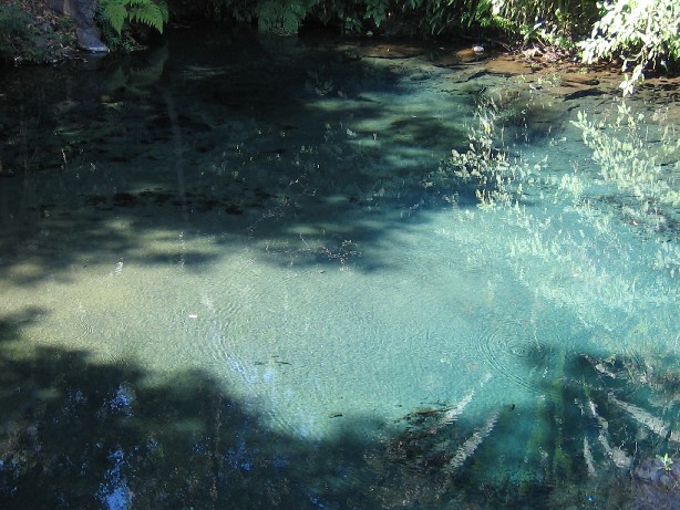 e0025342_6403958.jpg