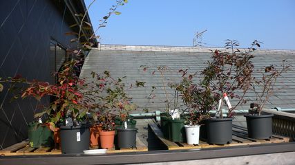 d0022845_1726698.jpg