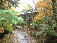 d0023346_1738013.jpg