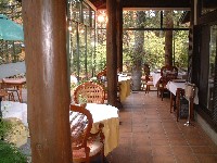 d0023346_17382716.jpg