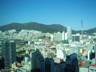 b0052149_15453360.jpg