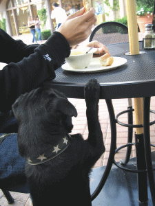 b0035453_18313519.gif