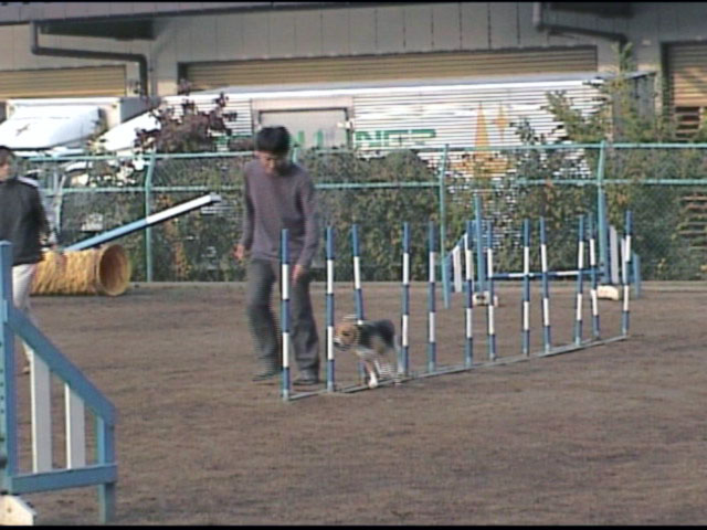 e0007060_2342617.jpg