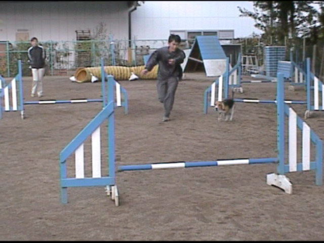 e0007060_2345833.jpg