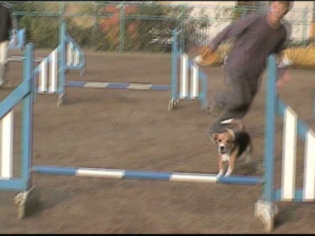 e0007060_2351470.jpg