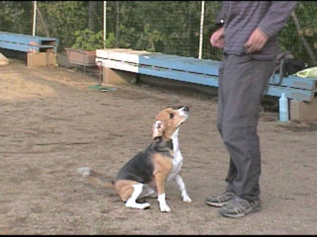 e0007060_2352825.jpg