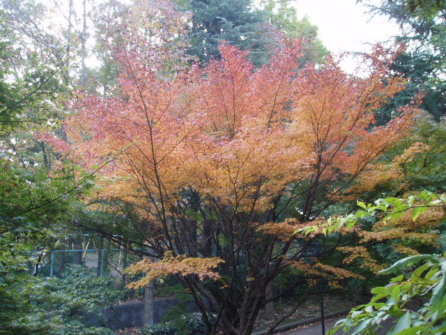 b0061261_2074790.jpg