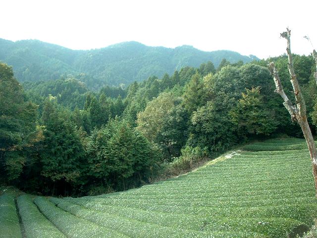 b0032167_22505297.jpg