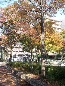 e0023471_1739376.jpg