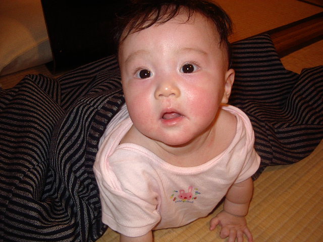 e0089272_1671587.jpg