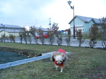 a0016775_0144861.jpg
