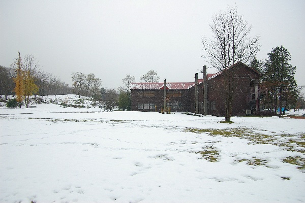 e0051186_17381880.jpg