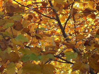 b0061107_23475325.jpg