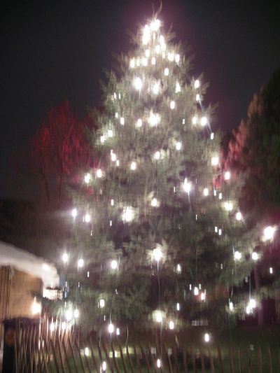 c0072922_5573616.jpg