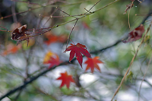 e0025030_15531112.jpg