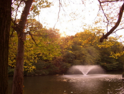 e0076736_10232972.jpg