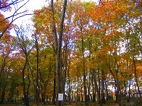 a0034438_14211469.jpg