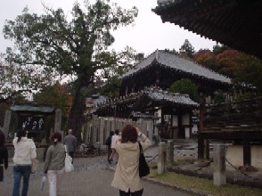 d0029840_15551582.jpg