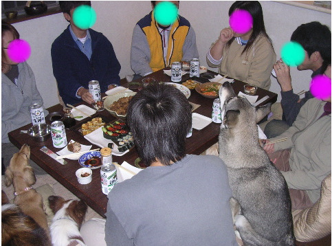 c0065643_15482051.jpg