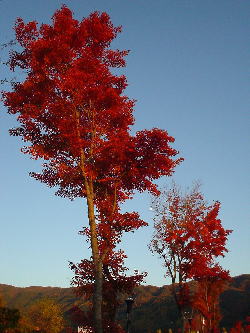 c0067646_5514136.jpg