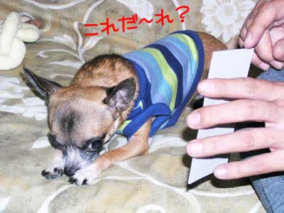 c0019050_17102654.jpg