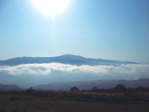 b0015260_10352697.jpg