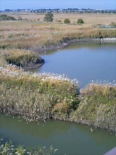 c0061964_20235127.jpg