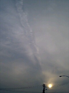 c0061964_2024122.jpg