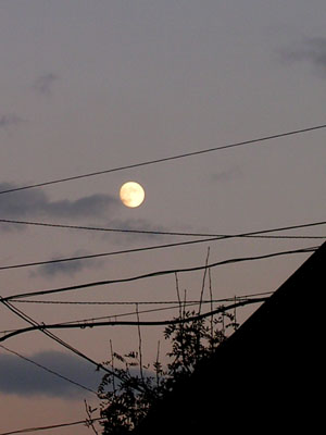 d0034980_1733977.jpg