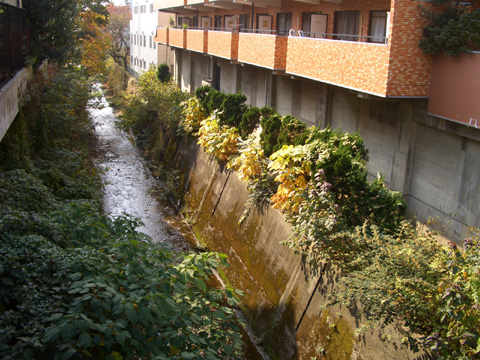 e0008880_1601721.jpg