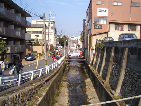 e0008880_1604016.jpg