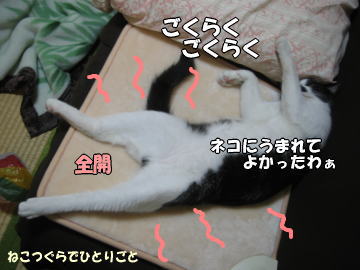 b0041182_1001662.jpg