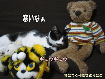 b0041182_950087.jpg
