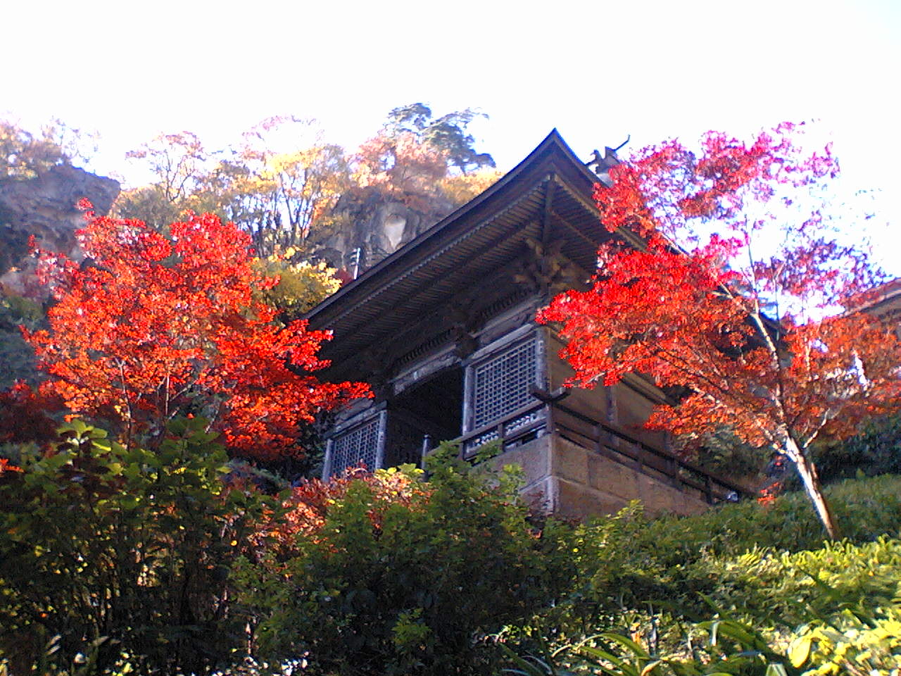 a0028803_12392585.jpg