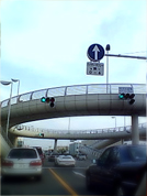 c0055305_1959689.jpg