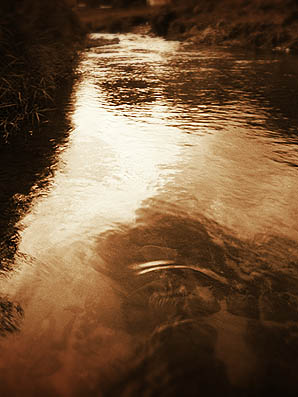 e0009009_2143171.jpg