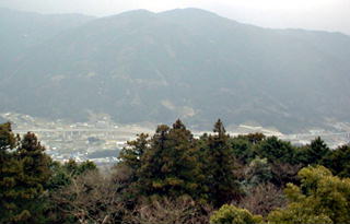 a0054016_19415485.jpg