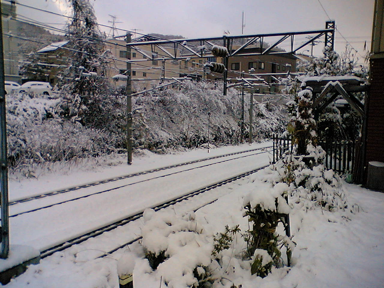 e0063317_1195110.jpg