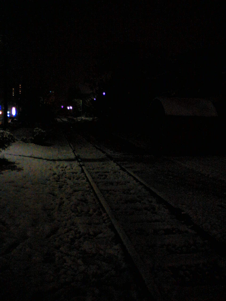 e0063317_12773.jpg